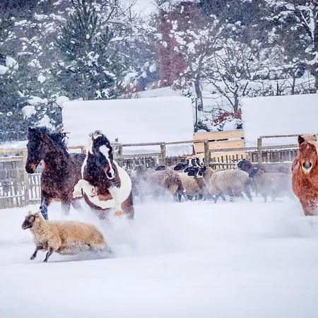 Casa vacanze Kopaninská Pastvina *